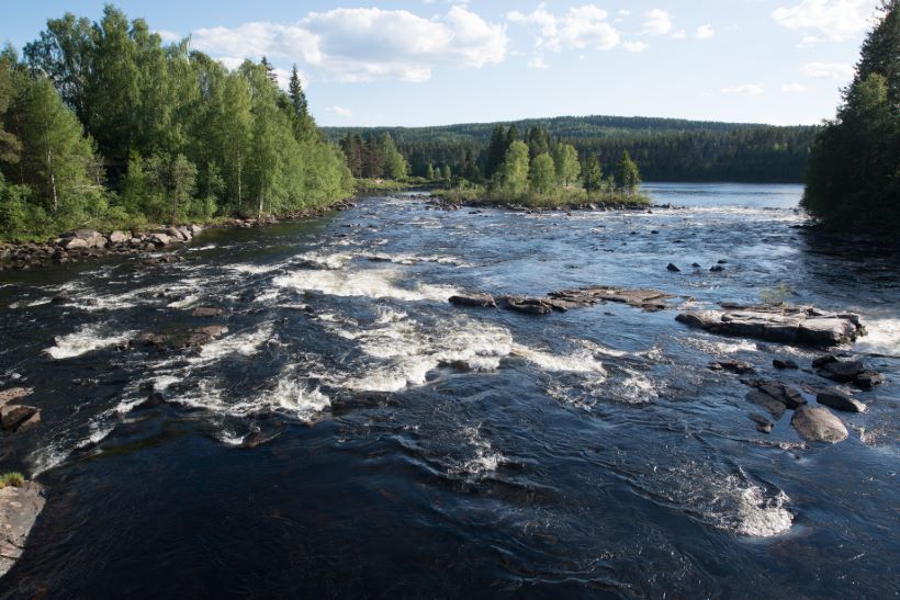 entreprenør Elverum