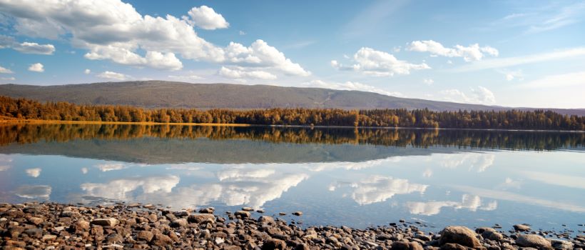 contractor Steinkjer